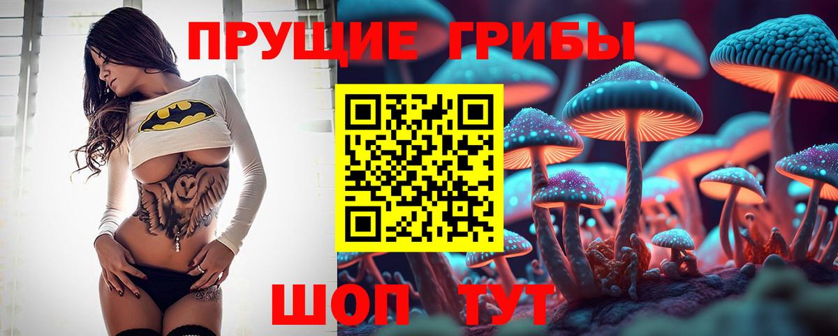 Галлюциногенные грибы GOLDEN TEACHER  Псилоцибиновые грибы мицелий  Владимир  Вход с VPN 