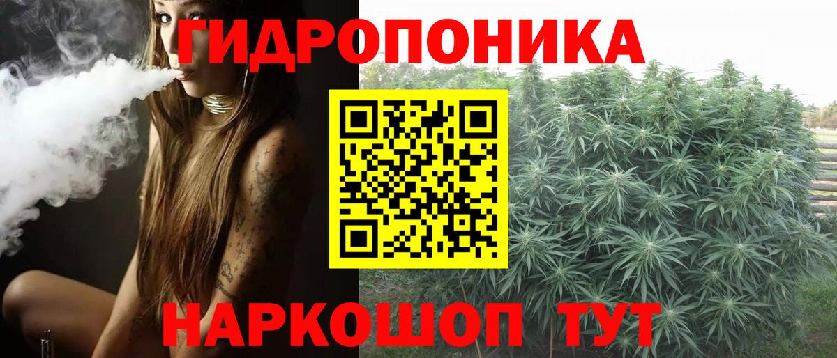 Каннабис индика  Каннабис семена  Владимир  Бошки марихуана план  Вход с VPN 