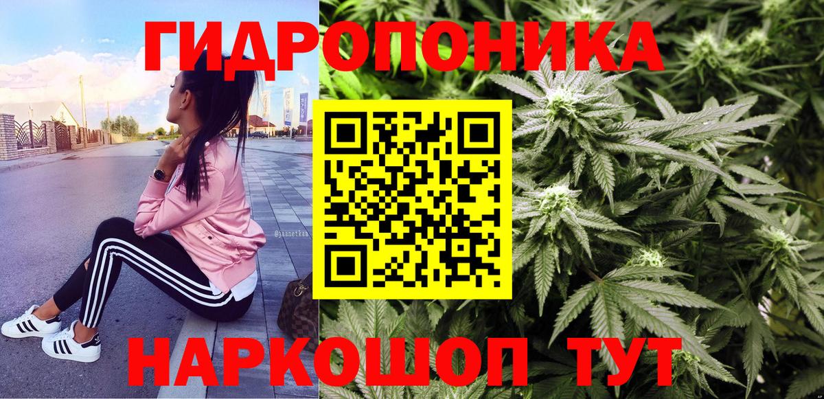 Марихуана Bruce Banner Владимир